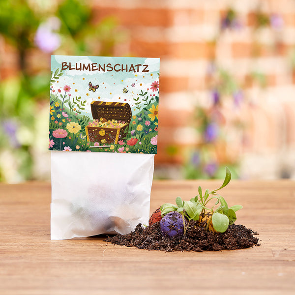 Una bolsa con la etiqueta “Tesoro de flores” y bombas de semillas de colores, con brotes de plantas jóvenes en la tierra al lado de ellas.