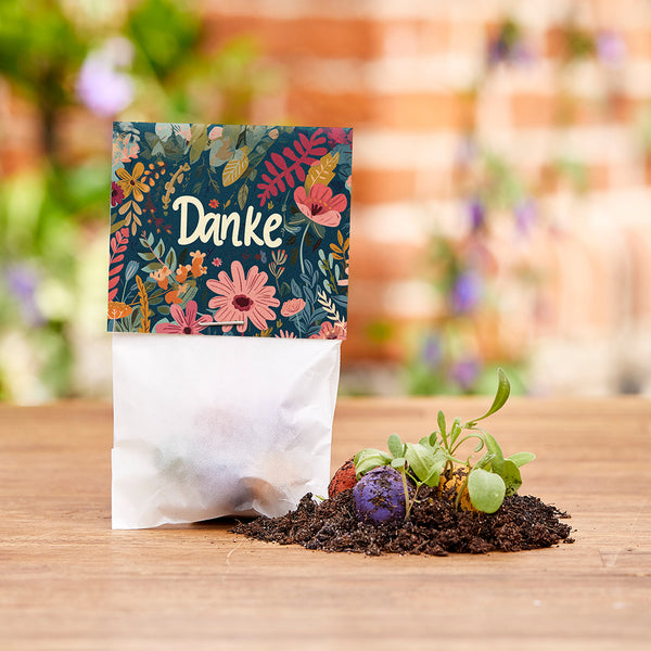 Conjunto de plantas con tarjeta de agradecimiento colorida, tierra y pequeñas plántulas sobre una mesa de madera.