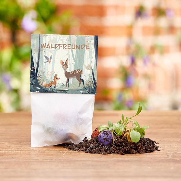 Una bolsa de papel con la inscripción “Amigos del bosque” y una ilustración de animales del bosque; junto a ella, bombas de semillas de colores y plantas jóvenes en el suelo.