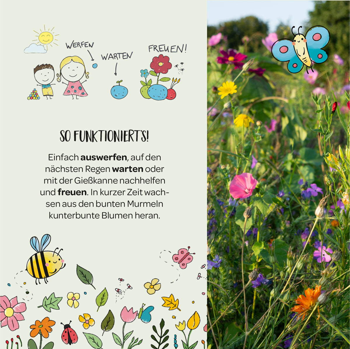 Ilustración con niños, flores y dibujos coloridos explica los pasos de la plantación de semillas de flores: sembrar, esperar y regocijarse; junto a ella, un prado de flores de colores con una mariposa.