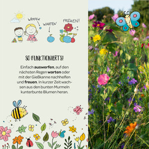 Ilustración e instrucciones para plantar canicas de flores con alegres dibujos de niños, un sol, una abeja, flores y un colorido prado de flores al fondo.