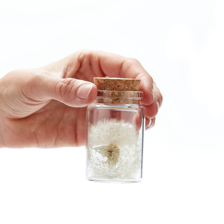 Mano sosteniendo un vaso pequeño con corcho que contiene un diente de león.
