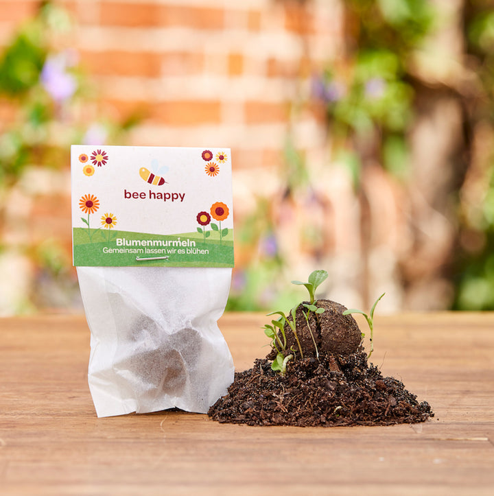Un paquete de canicas de flores con la inscripción "abeja feliz" y pequeñas plantas que brotan de una bomba de semillas en el suelo, contra un fondo de jardín borroso.
