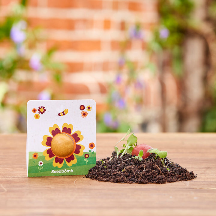 Un embalaje de bombas de semillas con un motivo de flores se encuentra junto a tierra y plantas en germinación sobre una mesa de madera.