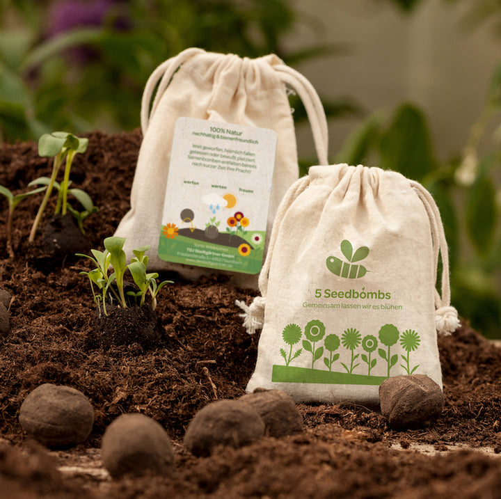 Bombas de semillas en bolsas de lino sobre suelo fértil con brotes de plantas jóvenes y tarjeta informativa.