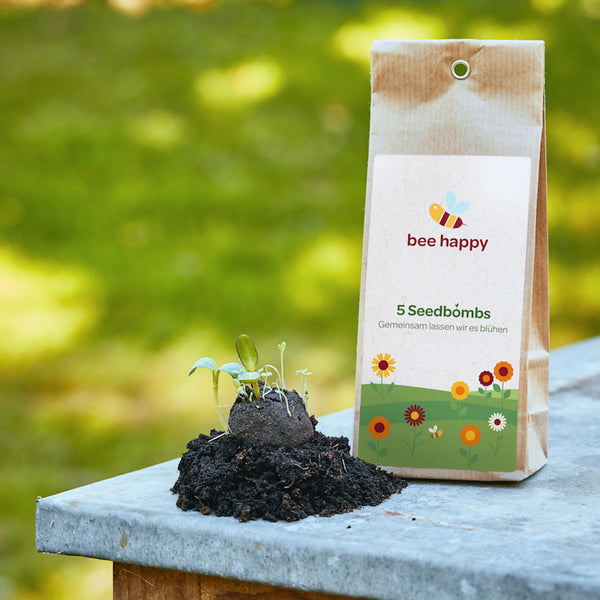 5 bombas de semillas en una bolsita de té