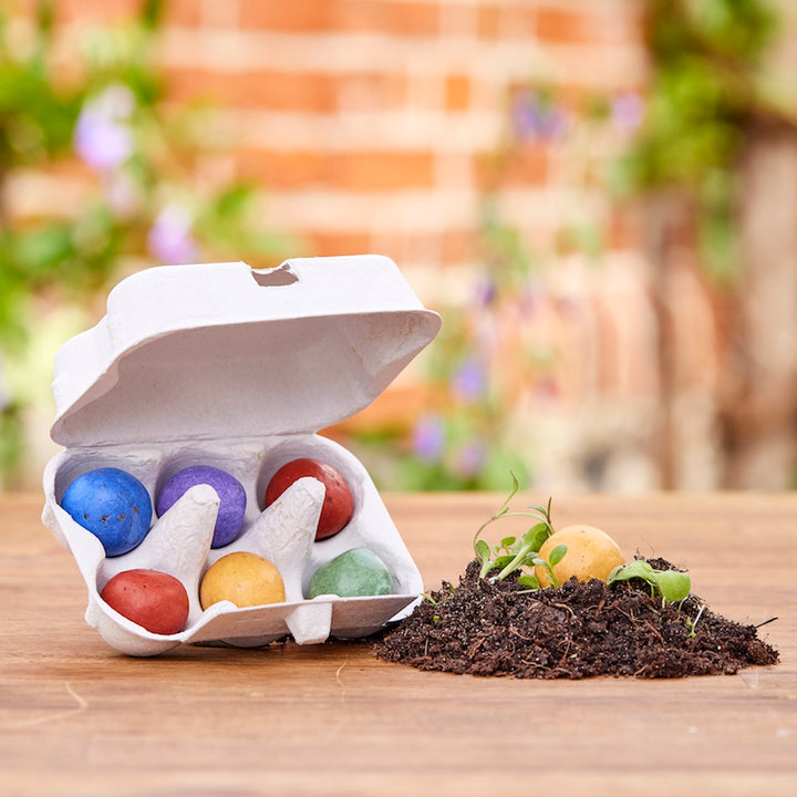 Un cartón de huevos abierto con bolas de colores y algunas bolas con plantas creciendo de ellas en un montón de tierra.