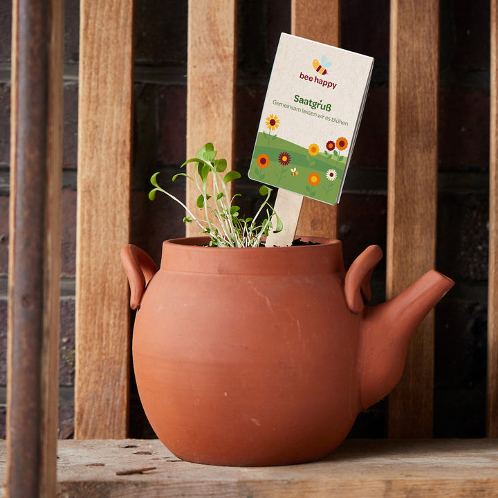 Una tetera de arcilla marrón sirve como maceta donde crecen plantas jóvenes; en la tierra hay pegado un cartel que dice "saludo de semilla de abeja feliz".