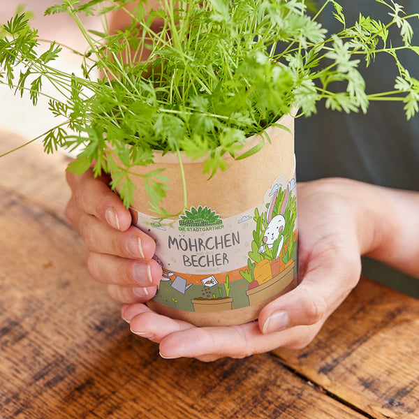 Carrot Cup - Kit de cultivo para niños