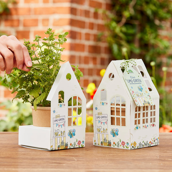 Dos jardineras decorativas con macetas para hierbas, una mano recogiendo hojas; una pared de ladrillos y un jardín al fondo.