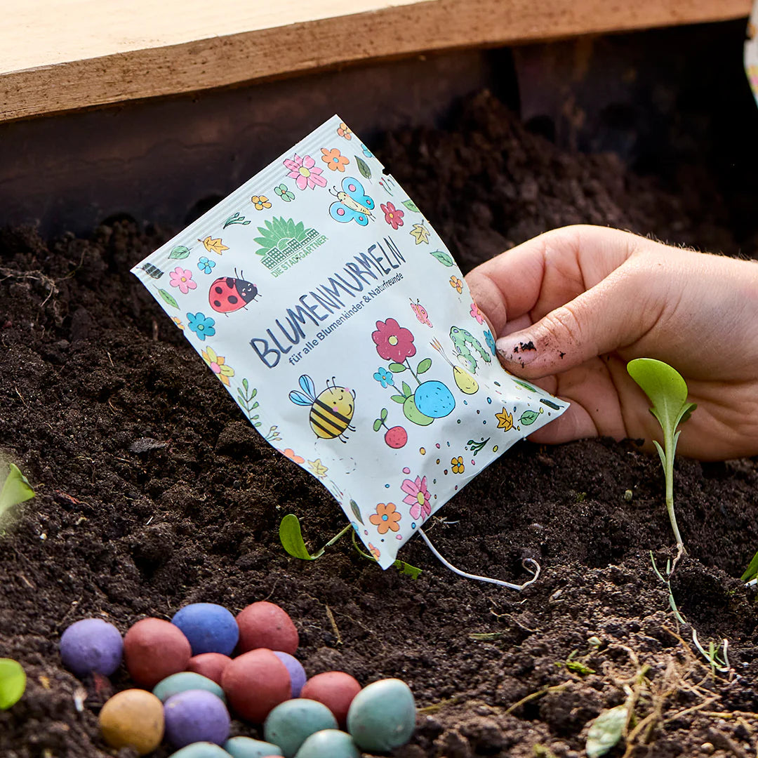 Mano sosteniendo una bolsa de semillas de flores sobre la tierra, al lado de bolas de semillas de colores.