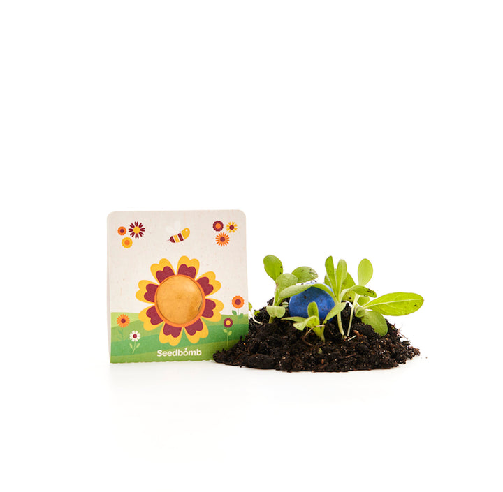 Un paquete de bombas de semillas con un colorido motivo floral se encuentra junto a la tierra y plantas verdes jóvenes.