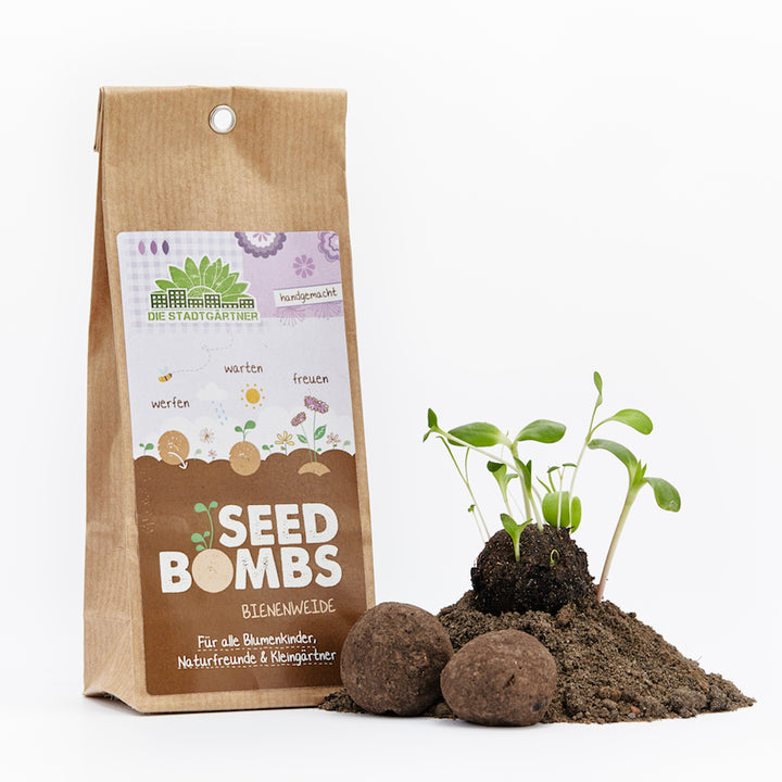 Paquete marrón de 'Bombas de semillas' para prados de abejas junto a plantas en germinación y terrones de tierra sobre un fondo blanco.