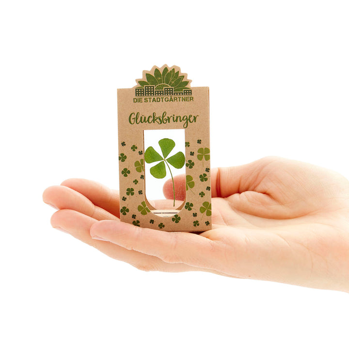Una mano sostiene un pequeño paquete con un trébol de cuatro hojas y la inscripción “Lucky Charm”.