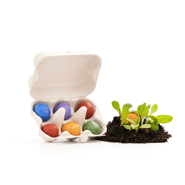 Caja de cartón con bolas de semillas de colores y pequeñas plantas verdes que crecen en el suelo.