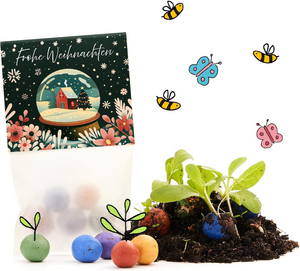 Bolsa con la inscripción “Feliz Navidad”, bombas de semillas de colores, tierra, plantas brotando y abejas y mariposas dibujadas.