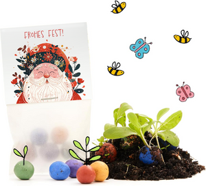 Set de regalo con tarjeta de "¡Felices Fiestas!", bolas de semillas de colores, tierra, plantas jóvenes y dibujos de abejas y mariposas.