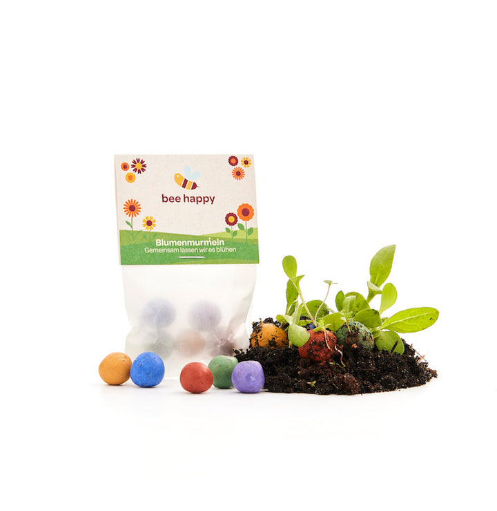 Un paquete de canicas de flores "bee happy" con bolas de semillas de colores y pequeñas plantas en el suelo.