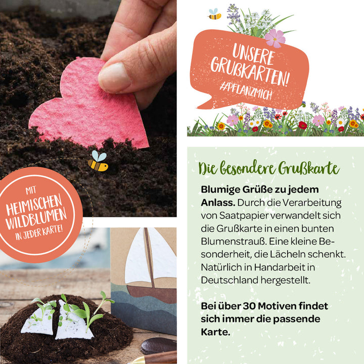 Una mano planta una tarjeta de papel con semillas en forma de corazón en la tierra; junto a ella, un texto sobre tarjetas de felicitación de papel con semillas que presentan flores silvestres nativas que se convierten en flores e información descriptiva sobre la tarjeta de felicitación especial.
