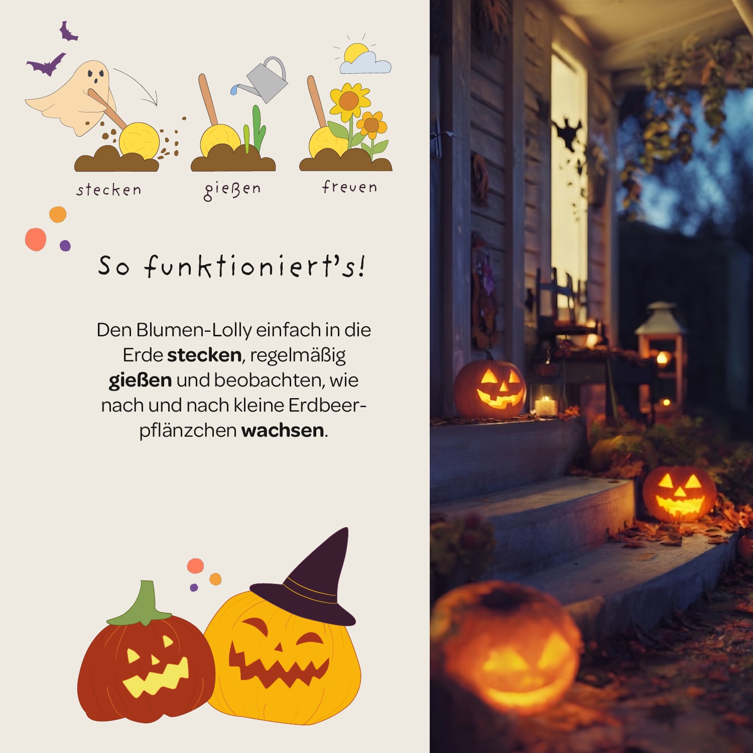 Halloween - Paleta de flores - Girasol