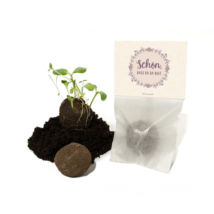 Pequeños obsequios para los invitados. ¡Qué bueno tenerte aquí!