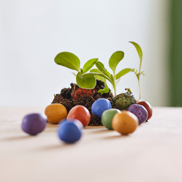 Varias bombas de semillas de colores y pequeñas plantas verdes sobre un fondo claro.