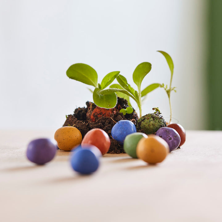 Varias bombas de semillas de colores y pequeñas plantas verdes sobre un fondo claro.