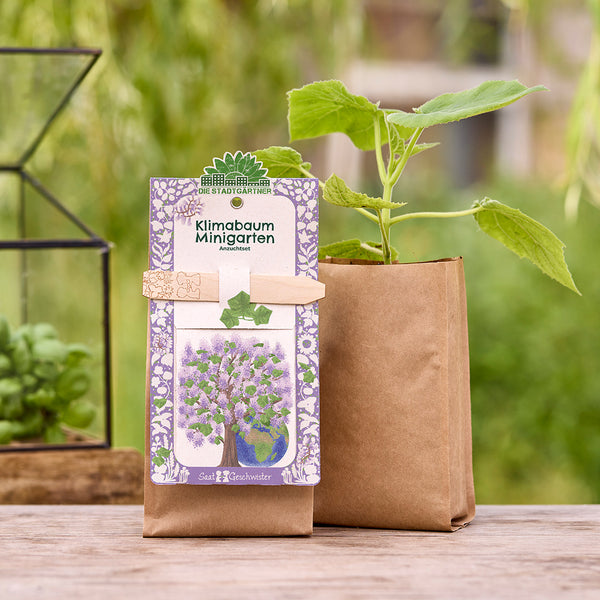 Un kit de cultivo de mini jardín con árbol climático, con una planta en una bolsa de papel marrón, se encuentra sobre una mesa de madera en el jardín.