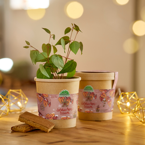 Lebkuchenbaum - Weihnachtsgeschenk