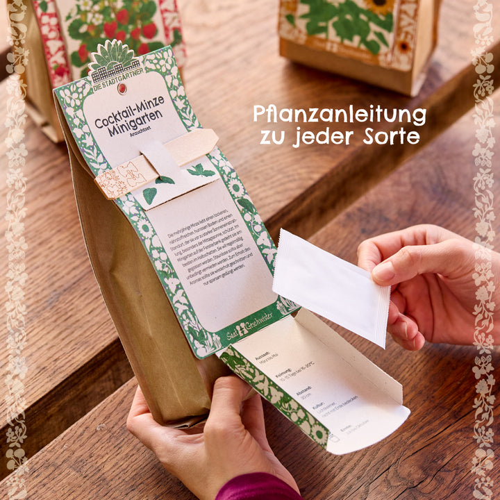 Persona sosteniendo una caja de cultivo de hierbas con instrucciones de plantación de menta cóctel y paquetes de semillas sobre una mesa de madera.