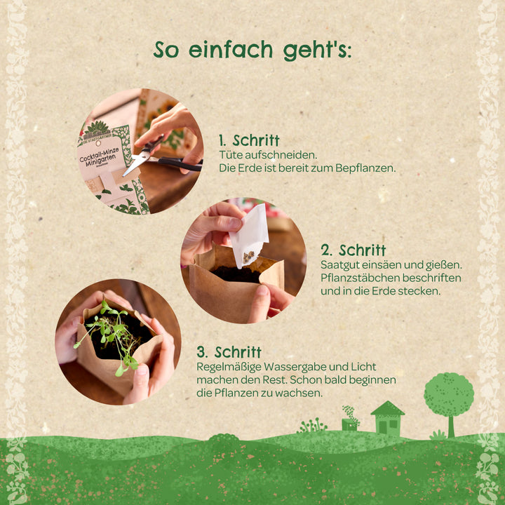 Instrucciones para plantar un mini jardín en tres pasos, ilustradas con fotografías: cortar la bolsa, sembrar y regar las semillas y dejar crecer las plántulas.