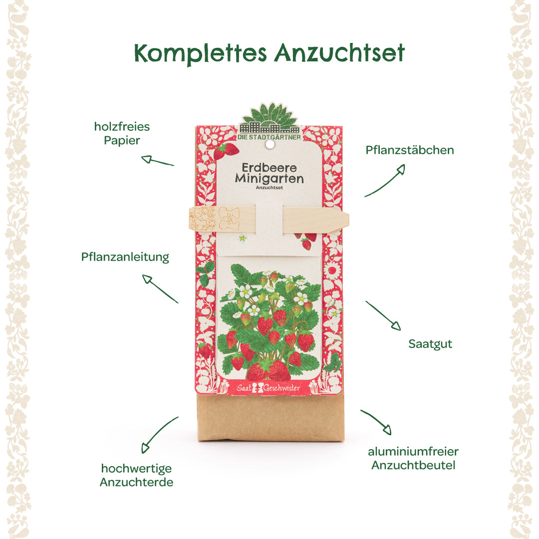 Kit completo para el cultivo de fresas con instrucciones de plantación, palos de plantación, semillas, tierra para macetas de alta calidad y una bolsa de cultivo sin aluminio etiquetada con flechas explicativas.