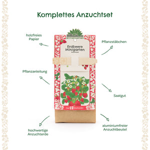 Kit completo para el cultivo de fresas con instrucciones de plantación, palos de plantación, semillas, tierra para macetas de alta calidad y una bolsa de cultivo sin aluminio etiquetada con flechas explicativas.
