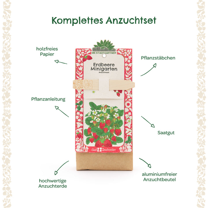 Kit completo para el cultivo de fresas con instrucciones de plantación, palos de plantación, semillas, tierra para macetas de alta calidad y una bolsa de cultivo sin aluminio etiquetada con flechas explicativas.