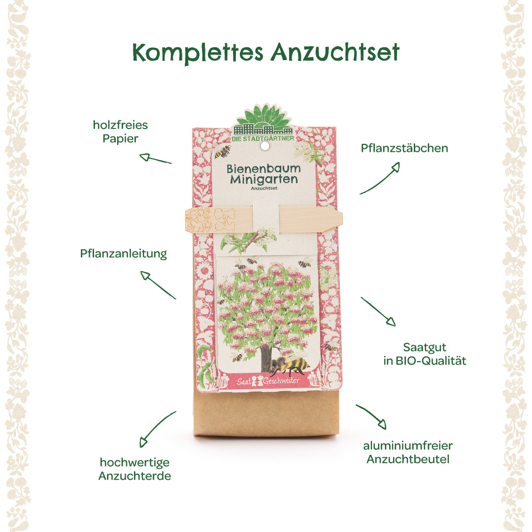 Kit completo para cultivar árboles de abejas con papel sin madera, palos para plantar, instrucciones de plantación, tierra para macetas de alta calidad, semillas orgánicas y bolsa de cultivo sin aluminio.