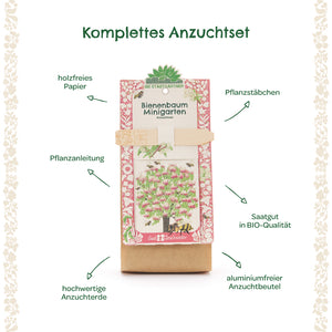 Kit completo para cultivar árboles de abejas con papel sin madera, palos para plantar, instrucciones de plantación, tierra para macetas de alta calidad, semillas orgánicas y bolsa de cultivo sin aluminio.