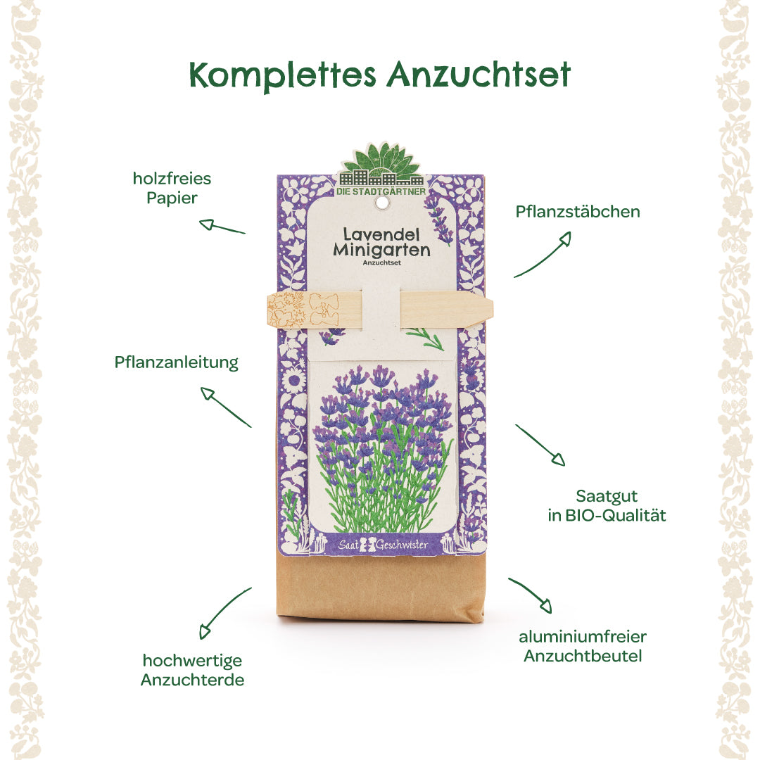 Kit completo para cultivar lavanda con instrucciones de plantación, palitos de plantación, semillas orgánicas, tierra para macetas de alta calidad, papel sin madera y bolsa de cultivo sin aluminio.