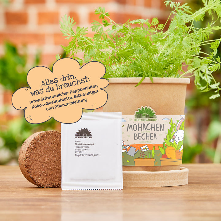 Un kit de cultivo de zanahorias ecológico que consta de un vaso de papel con una planta de zanahoria, pellets de coco y paquetes de semillas, sobre un fondo verde.