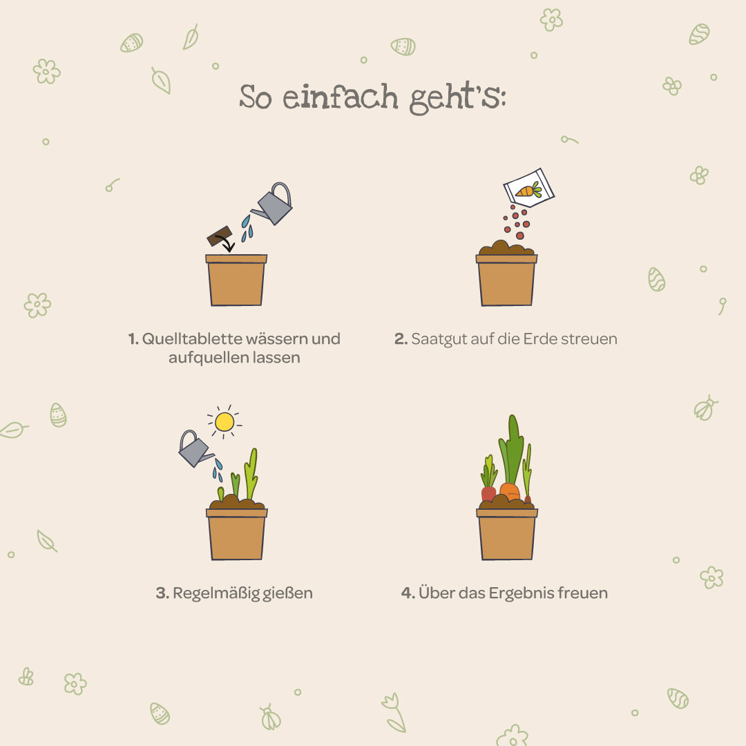 Cuatro sencillos pasos para cultivar plantas con ilustraciones: regar la tableta de plántulas, esparcir las semillas, regar regularmente y disfrutar del crecimiento.