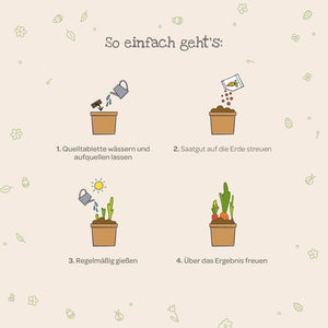 Cuatro sencillos pasos para cultivar plantas con ilustraciones: regar la tableta de plántulas, esparcir las semillas, regar regularmente y disfrutar del crecimiento.