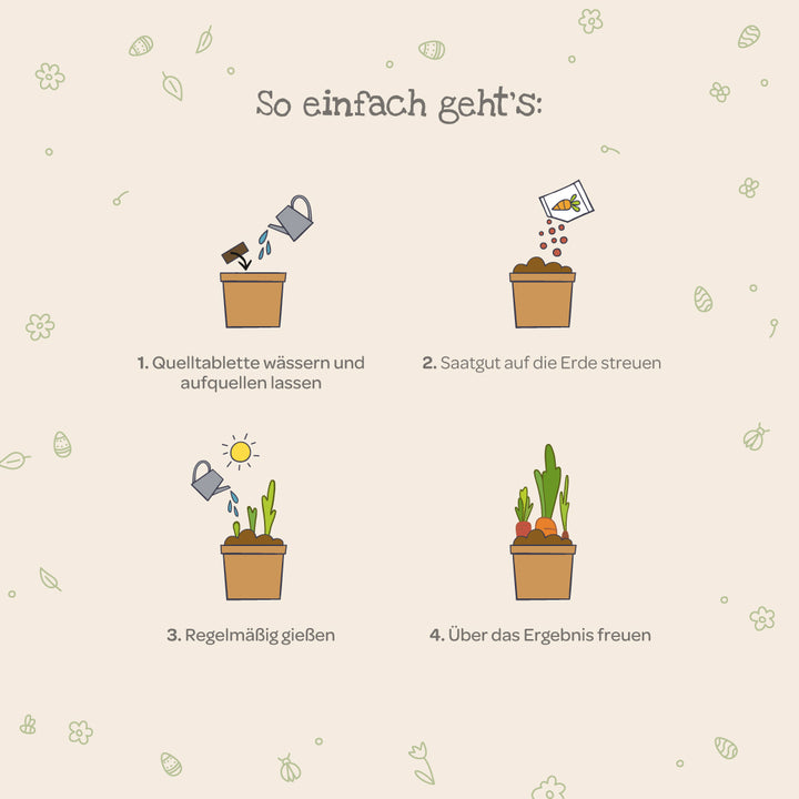 Cuatro sencillos pasos para cultivar plantas con ilustraciones: regar la tableta de plántulas, esparcir las semillas, regar regularmente y disfrutar del crecimiento.