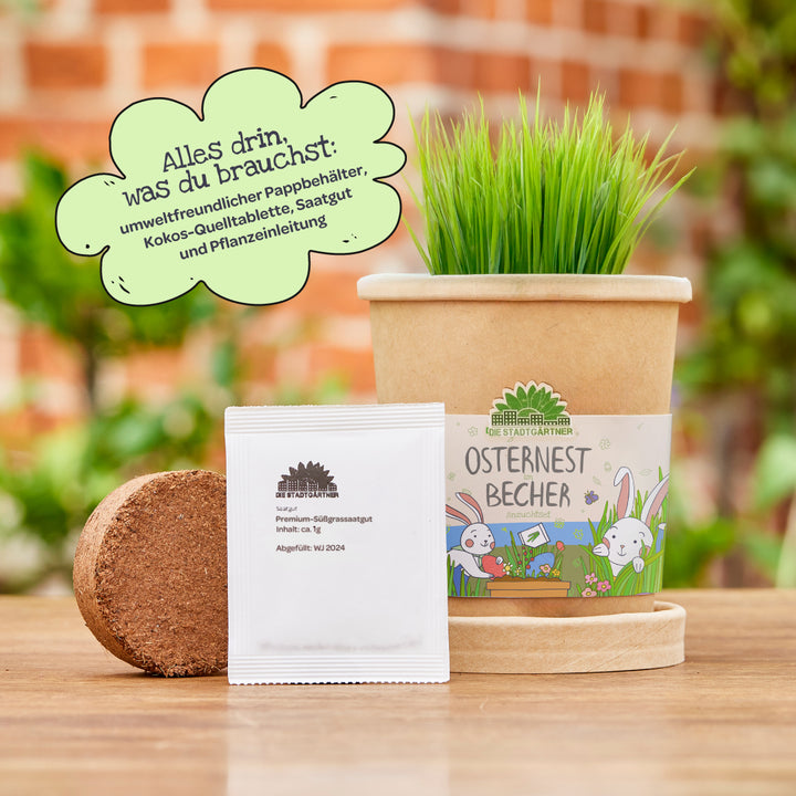 Un vaso de papel ecológico con diseño de Pascua, lleno de césped verde; junto a él, una pastilla de expansión de coco y un paquete de semillas; al fondo, un bocadillo de diálogo verde con información sobre el contenido.