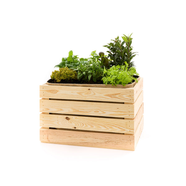 Caja de manzanas plantadas con inserto de yute