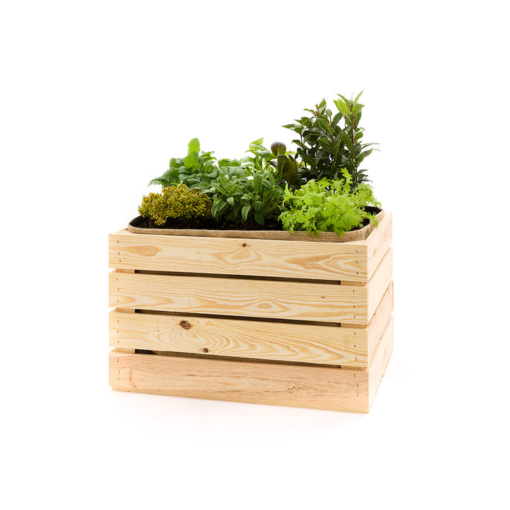 Caja de manzanas plantadas con inserto de yute