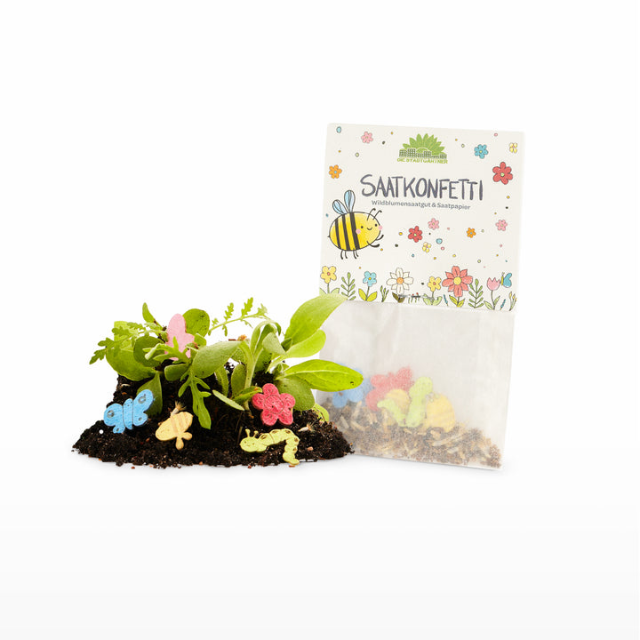 Bolsa de confeti de semillas decorada con flores y una abeja, al lado tierra con pequeñas plantas y papel de semillas de colores en forma de mariposas y flores.