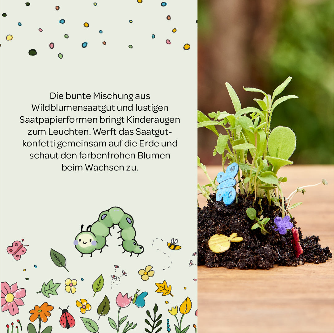 Ilustración colorida con semillas de flores silvestres, una oruga verde, flores y mariposas dibujadas, junto a tierra con plántulas de flores silvestres y formas de papel con semillas de colores.