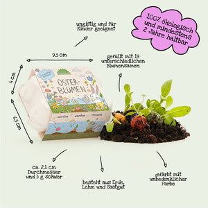 Una caja de cartón etiquetada "Flores de Pascua", junto a ella bolas de semillas de colores y plántulas en tierra; con etiquetas alemanas que indican medidas, ingredientes y propiedades.