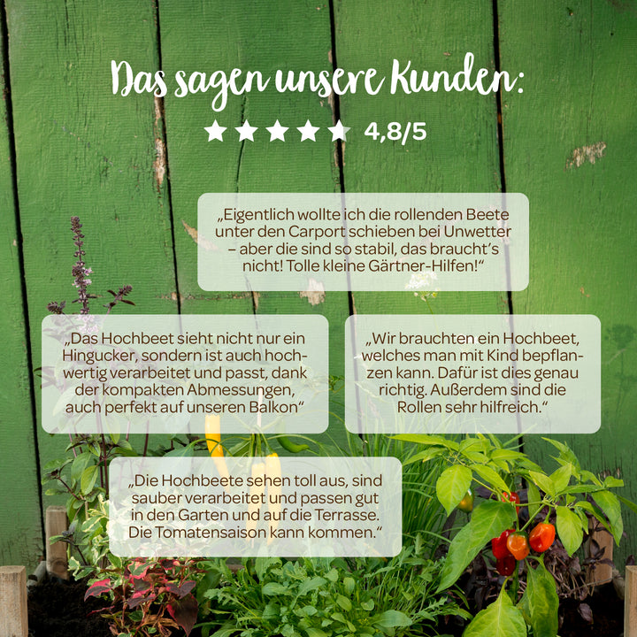 Reseñas de clientes de camas elevadas frente a una pared de madera verde, que incluyen plantas y tomates, con una calificación de 4,8 sobre 5 estrellas.