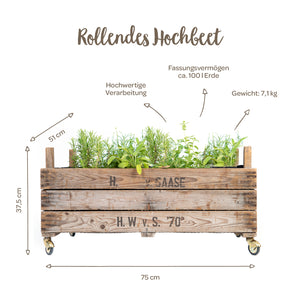Jardinera de madera sobre ruedas plantada con hierbas aromáticas, etiquetada con dimensiones (75 x 51 x 37,5 cm), capacidad aprox. 100 litros de tierra y peso 7,1 kg.
