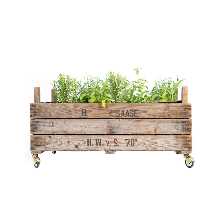 Caja de madera sobre ruedas plantada con diversas hierbas.